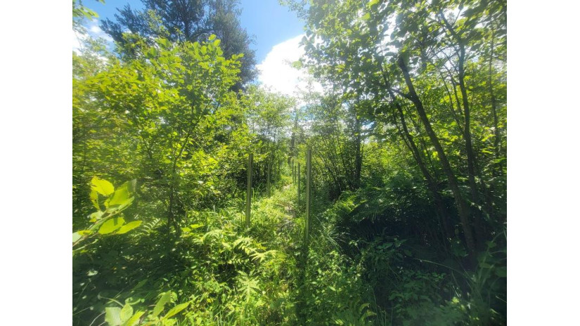 LOT 2 Highway 21 Preston, WI 53934 by Pavelec Realty - Off: 608-339-3388 $45,900