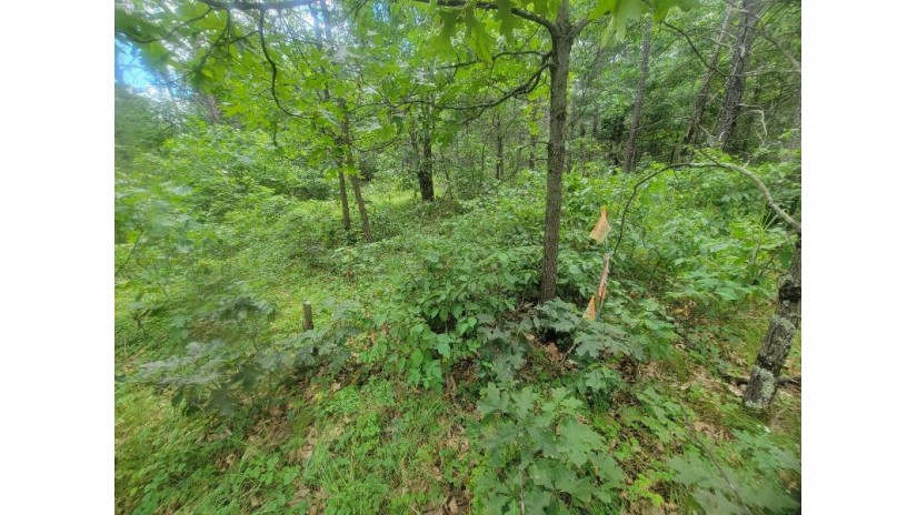 LOT 2 Highway 21 Preston, WI 53934 by Pavelec Realty - Off: 608-339-3388 $45,900