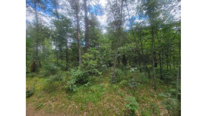 LOT 2 Highway 21 Preston, WI 53934 by Pavelec Realty - Off: 608-339-3388 $45,900