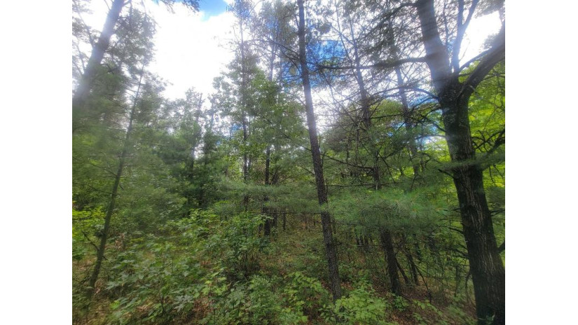 LOT 2 Highway 21 Preston, WI 53934 by Pavelec Realty - Off: 608-339-3388 $45,900