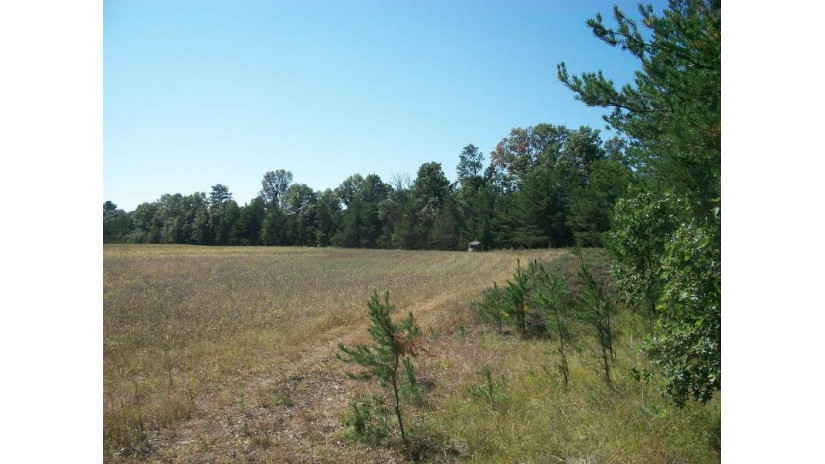 38 ACRES 18th St Necedah, WI 54646 by Century 21 Affiliated $229,900