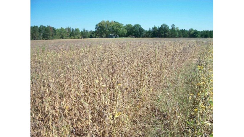 38 ACRES 18th St Necedah, WI 54646 by Century 21 Affiliated $229,900