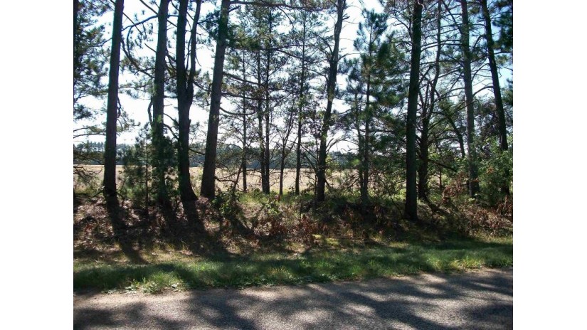 38 ACRES 18th St Necedah, WI 54646 by Century 21 Affiliated $229,900