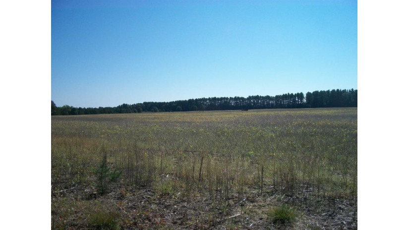 38 ACRES 18th St Necedah, WI 54646 by Century 21 Affiliated $229,900