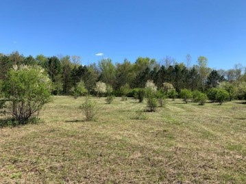 95 ACRES Highway 13, Springville, WI 53965