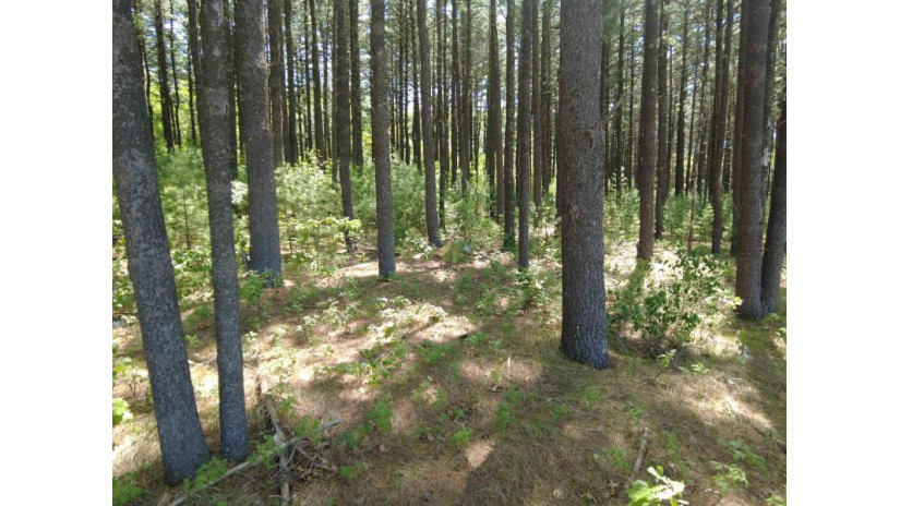 4.91 ACRES County Road A Wisconsin Dells, WI 53965 by Re/Max Realpros $940,000