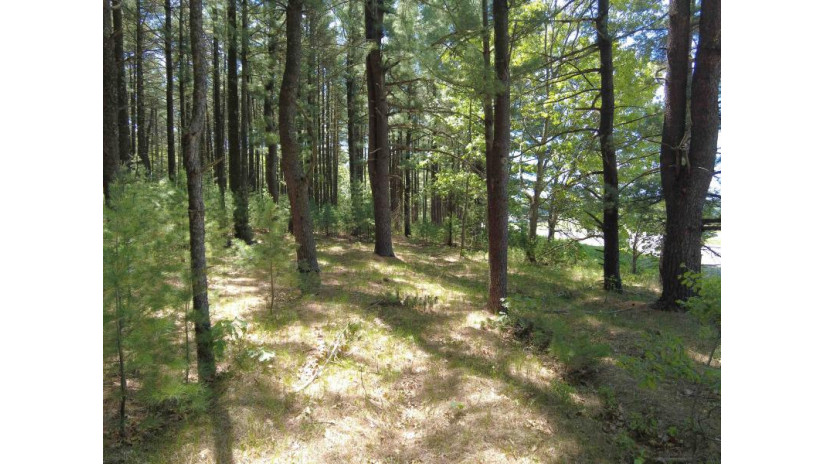 4.91 ACRES County Road A Wisconsin Dells, WI 53965 by Re/Max Realpros $940,000