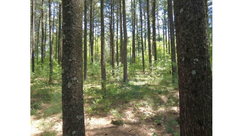 4.91 ACRES County Road A Wisconsin Dells, WI 53965 by Re/Max Realpros $940,000