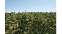 4.91 ACRES County Road A Wisconsin Dells, WI 53965 by Re/Max Realpros $940,000