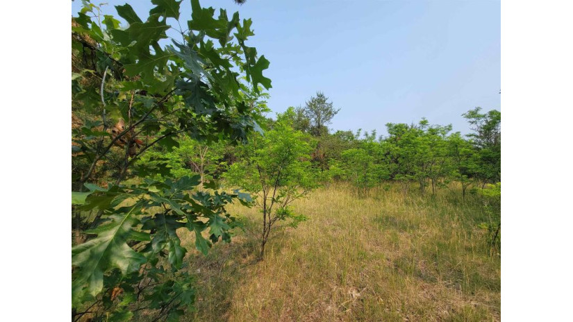 LOT 1 Highway 21 Necedah, WI 54646 by Castle Rock Realty Llc - Cell: 608-548-6900 $45,000