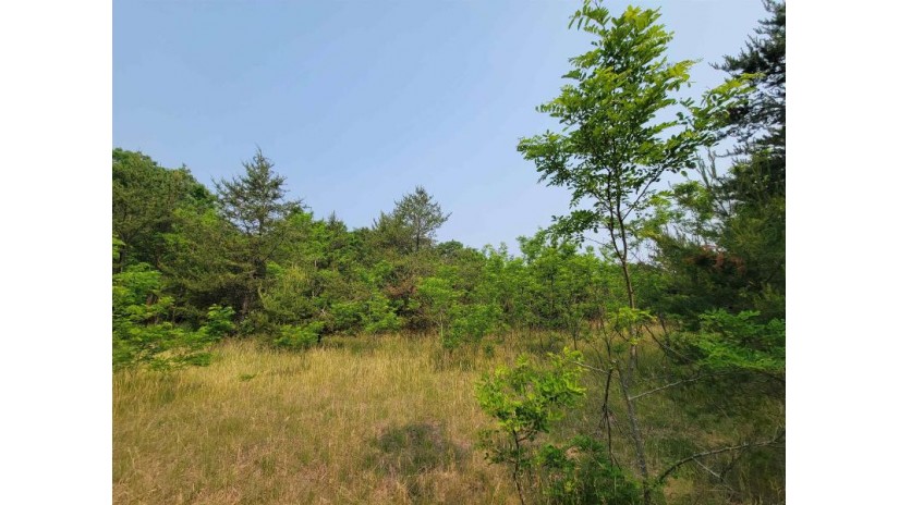 LOT 1 Highway 21 Necedah, WI 54646 by Castle Rock Realty Llc - Cell: 608-548-6900 $45,000