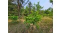 LOT 1 Highway 21 Necedah, WI 54646 by Castle Rock Realty Llc - Cell: 608-548-6900 $45,000