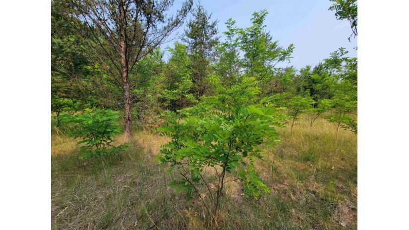 LOT 1 Highway 21 Necedah, WI 54646 by Castle Rock Realty Llc - Cell: 608-548-6900 $45,000