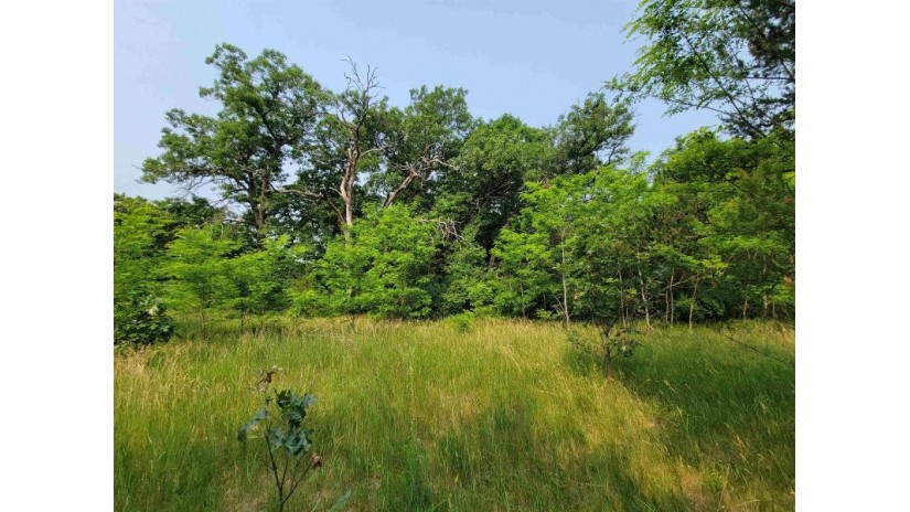 LOT 1 Highway 21 Necedah, WI 54646 by Castle Rock Realty Llc - Cell: 608-548-6900 $45,000