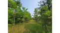 LOT 1 Highway 21 Necedah, WI 54646 by Castle Rock Realty Llc - Cell: 608-548-6900 $45,000