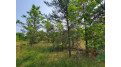 LOT 1 Highway 21 Necedah, WI 54646 by Castle Rock Realty Llc - Cell: 608-548-6900 $45,000