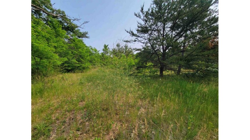 LOT 1 Highway 21 Necedah, WI 54646 by Castle Rock Realty Llc - Cell: 608-548-6900 $45,000