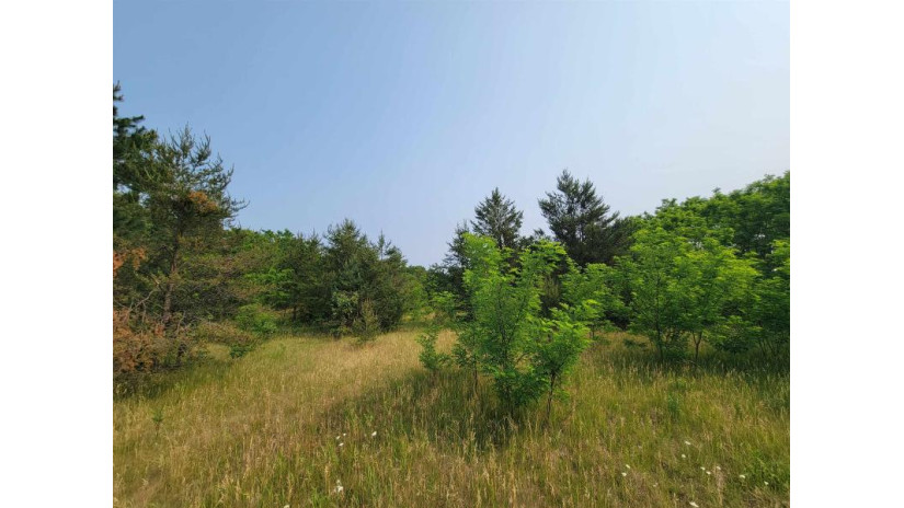 LOT 1 Highway 21 Necedah, WI 54646 by Castle Rock Realty Llc - Cell: 608-548-6900 $45,000