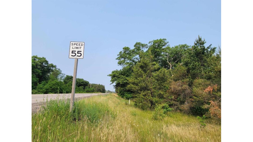 LOT 1 Highway 21 Necedah, WI 54646 by Castle Rock Realty Llc - Cell: 608-548-6900 $45,000