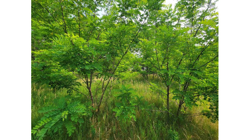 LOT 1 Highway 21 Necedah, WI 54646 by Castle Rock Realty Llc - Cell: 608-548-6900 $45,000