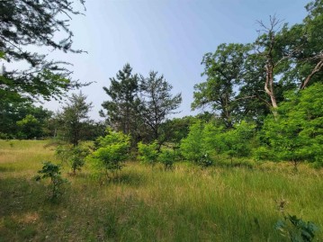 LOT 1 Highway 21, Necedah, WI 54646