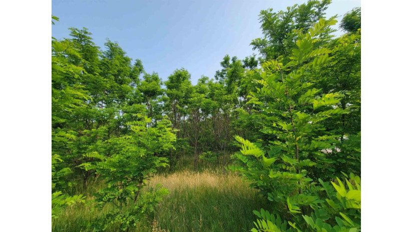 LOT 1 Highway 21 Necedah, WI 54646 by Castle Rock Realty Llc - Cell: 608-548-6900 $45,000