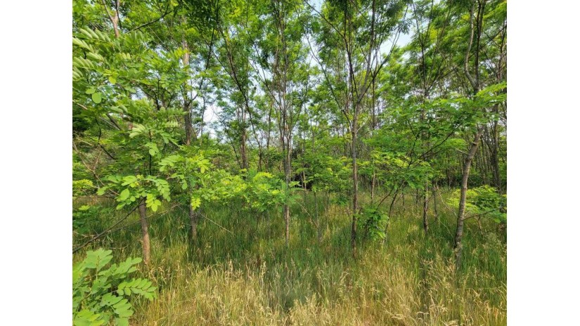 LOT 1 Highway 21 Necedah, WI 54646 by Castle Rock Realty Llc - Cell: 608-548-6900 $45,000