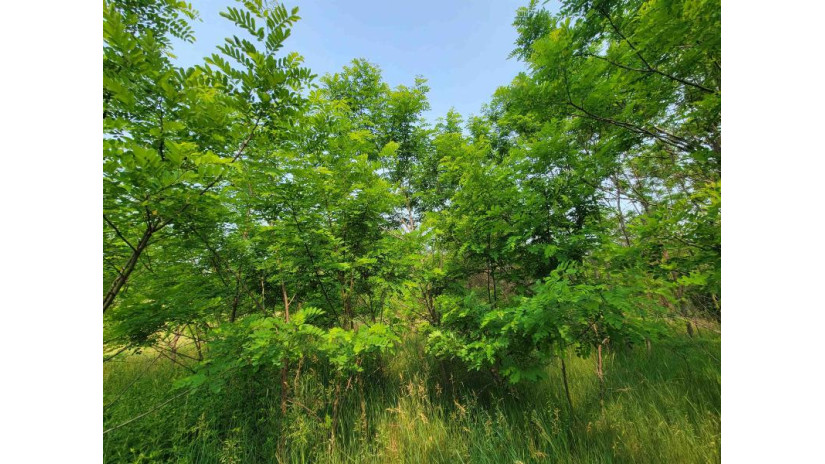 LOT 1 Highway 21 Necedah, WI 54646 by Castle Rock Realty Llc - Cell: 608-548-6900 $45,000