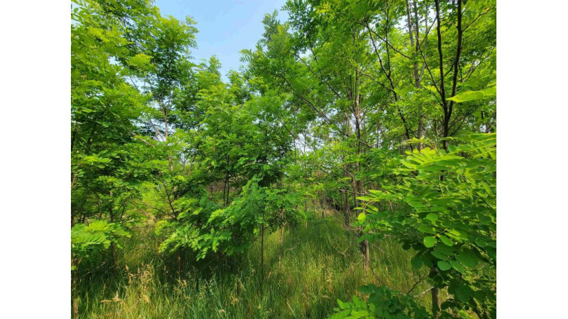 LOT 1 Highway 21 Necedah, WI 54646 by Castle Rock Realty Llc - Cell: 608-548-6900 $45,000