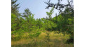 LOT 1 Highway 21 Necedah, WI 54646 by Castle Rock Realty Llc - Cell: 608-548-6900 $45,000