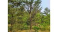 LOT 1 Highway 21 Necedah, WI 54646 by Castle Rock Realty Llc - Cell: 608-548-6900 $45,000