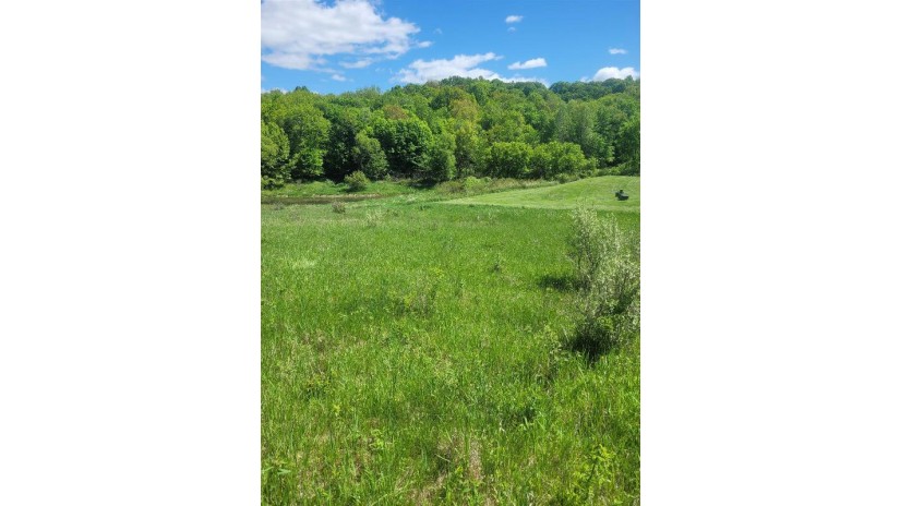 L128 Black Forest Drive Woodland, WI 53941 by Full House & Land Realty, Llc $69,000