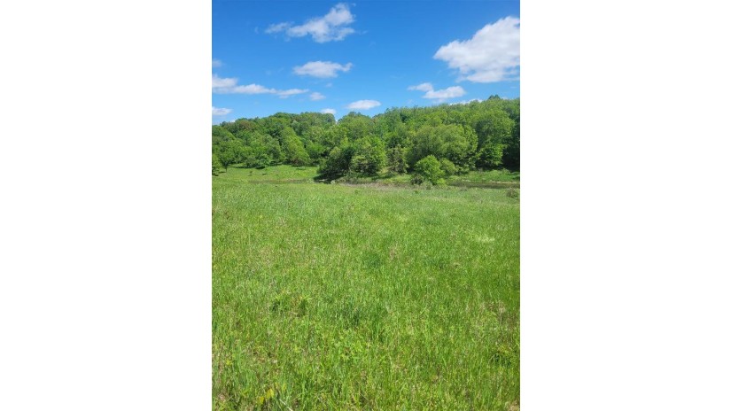 L128 Black Forest Drive Woodland, WI 53941 by Full House & Land Realty, Llc $69,000