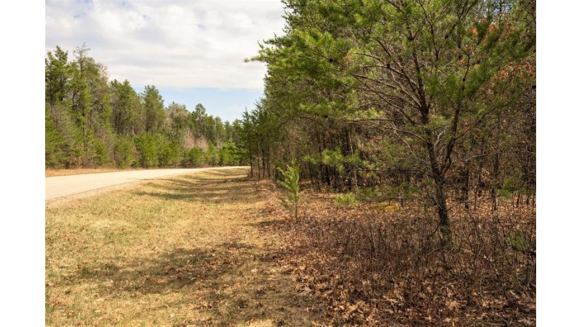 LOT 254 Dakota Junction Strongs Prairie, WI 53934 by Castle Rock Realty Llc - Cell: 608-548-6900 $62,500