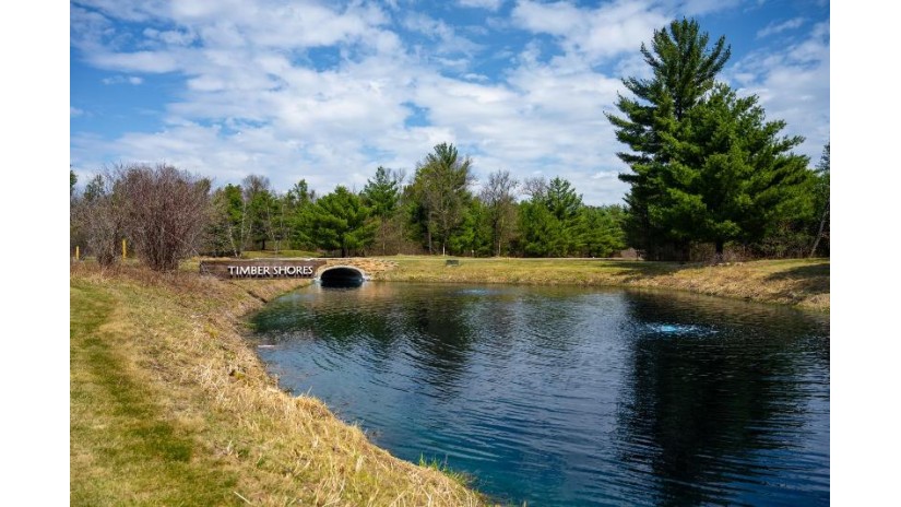 LOT 254 Dakota Junction Strongs Prairie, WI 53934 by Castle Rock Realty Llc - Cell: 608-548-6900 $62,500