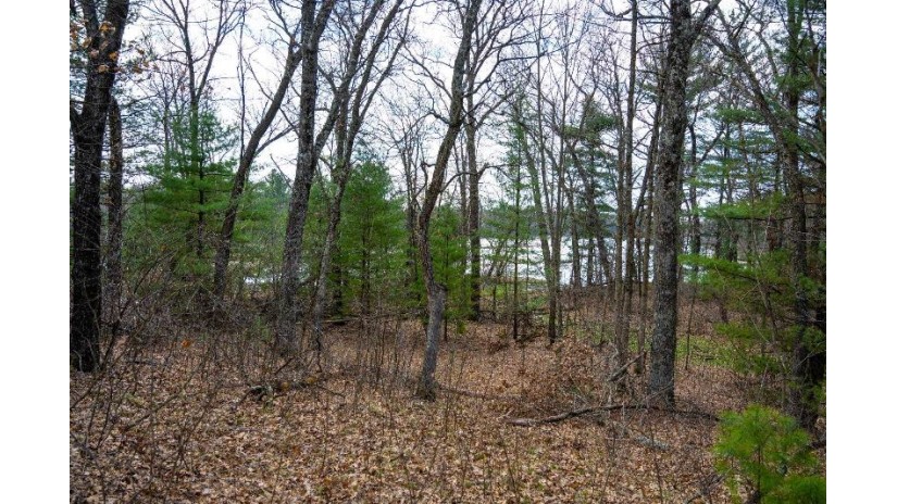 LOT 254 Dakota Junction Strongs Prairie, WI 53934 by Castle Rock Realty Llc - Cell: 608-548-6900 $62,500