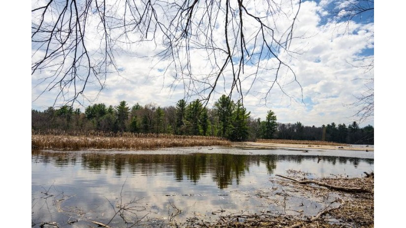 LOT 254 Dakota Junction Strongs Prairie, WI 53934 by Castle Rock Realty Llc - Cell: 608-548-6900 $62,500