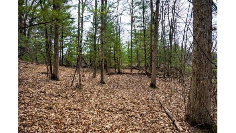 LOT 254 Dakota Junction Strongs Prairie, WI 53934 by Castle Rock Realty Llc - Cell: 608-548-6900 $62,500