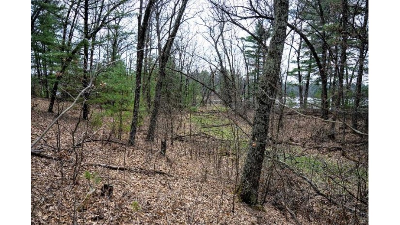 LOT 254 Dakota Junction Strongs Prairie, WI 53934 by Castle Rock Realty Llc - Cell: 608-548-6900 $62,500