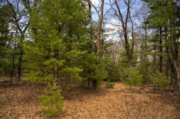 LOT 188 18th Lane, Strongs Prairie, WI 53934