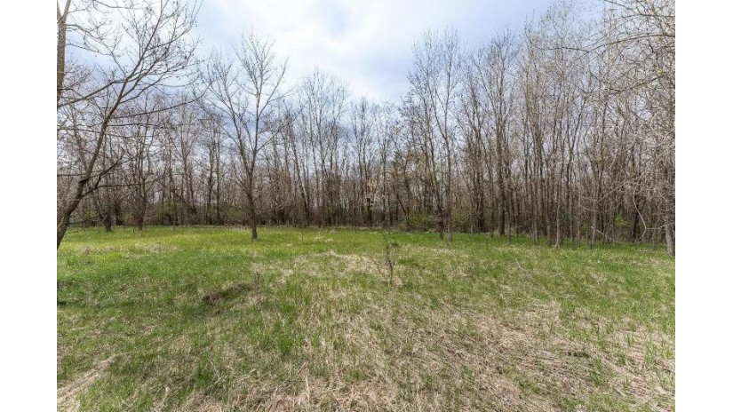 14.35 ACRES Highway 80 New Lisbon, WI 53950 by First Weber Inc - HomeInfo@firstweber.com $269,900