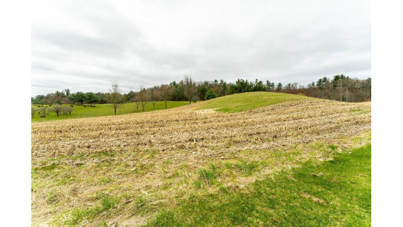 LOT 1 Blackberry Avenue Lincoln, WI 54666 by First Weber Inc - HomeInfo@firstweber.com $25,000