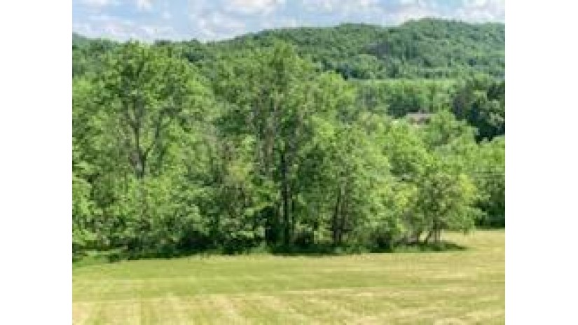 L1&2(29), 2(30) N Stone Hill Road Medary, WI 54601 by Exit Realty Driftless Group - Cell: 608-988-6640 $208,000