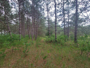 LOT 113 Beaver Lane, Monroe, WI 54613