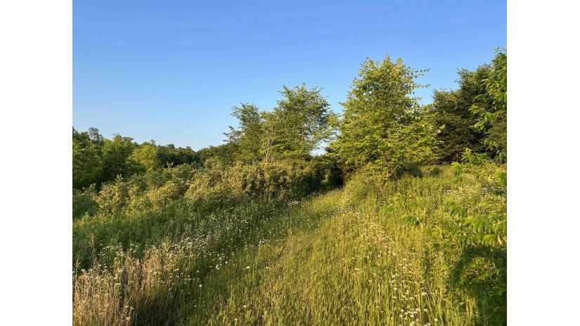 LOT 30 Sandrock Road New Glarus, WI 53574 by Accord Realty - Pref: 608-444-3028 $199,900