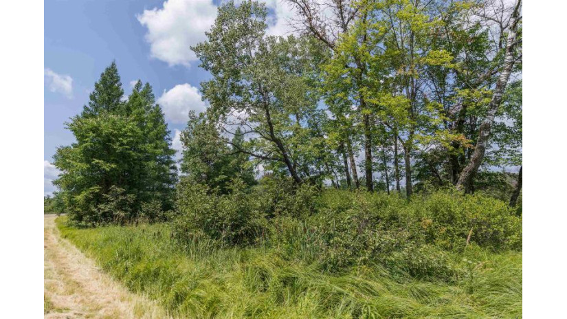 39.74AC County Road J Richfield, WI 53934 by Robinson Realty Company - Pref: 608-369-0884 $180,000