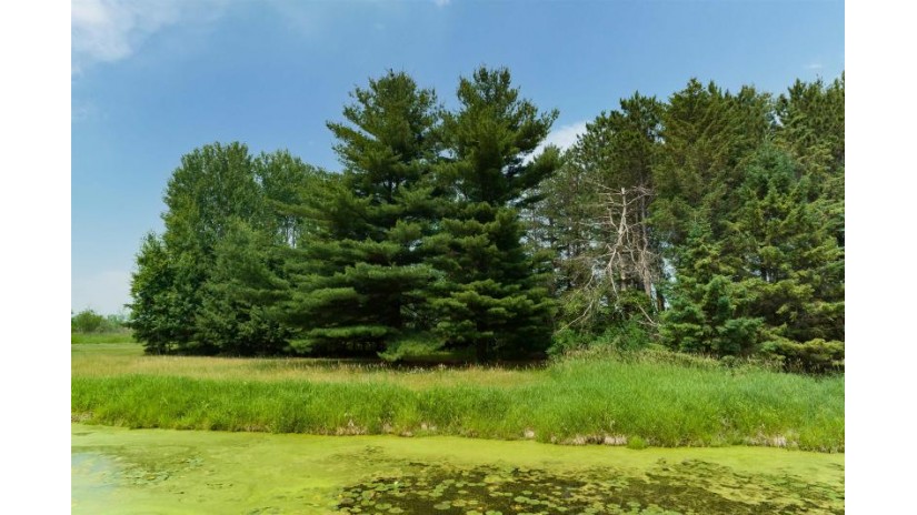 LOT 7 Blackhawk Lane Poy Sippi, WI 54923 by Better Homes And Gardens Real Estate Special Prope $30,900