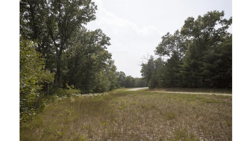 10 AC Deerborn Drive Quincy, WI 53934 by Landman Realty Llc $119,900