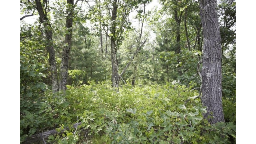 10 AC Deerborn Drive Quincy, WI 53934 by Landman Realty Llc $119,900