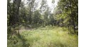 10 AC Deerborn Drive Quincy, WI 53934 by Landman Realty Llc $119,900